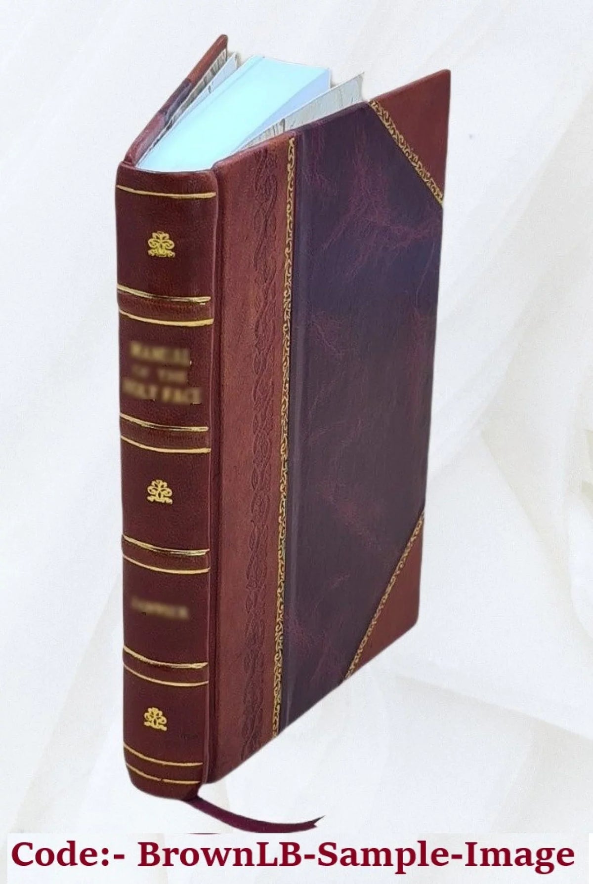 Sulpitii Severi Opera omnia quae extant 1643 [Leather Bound]