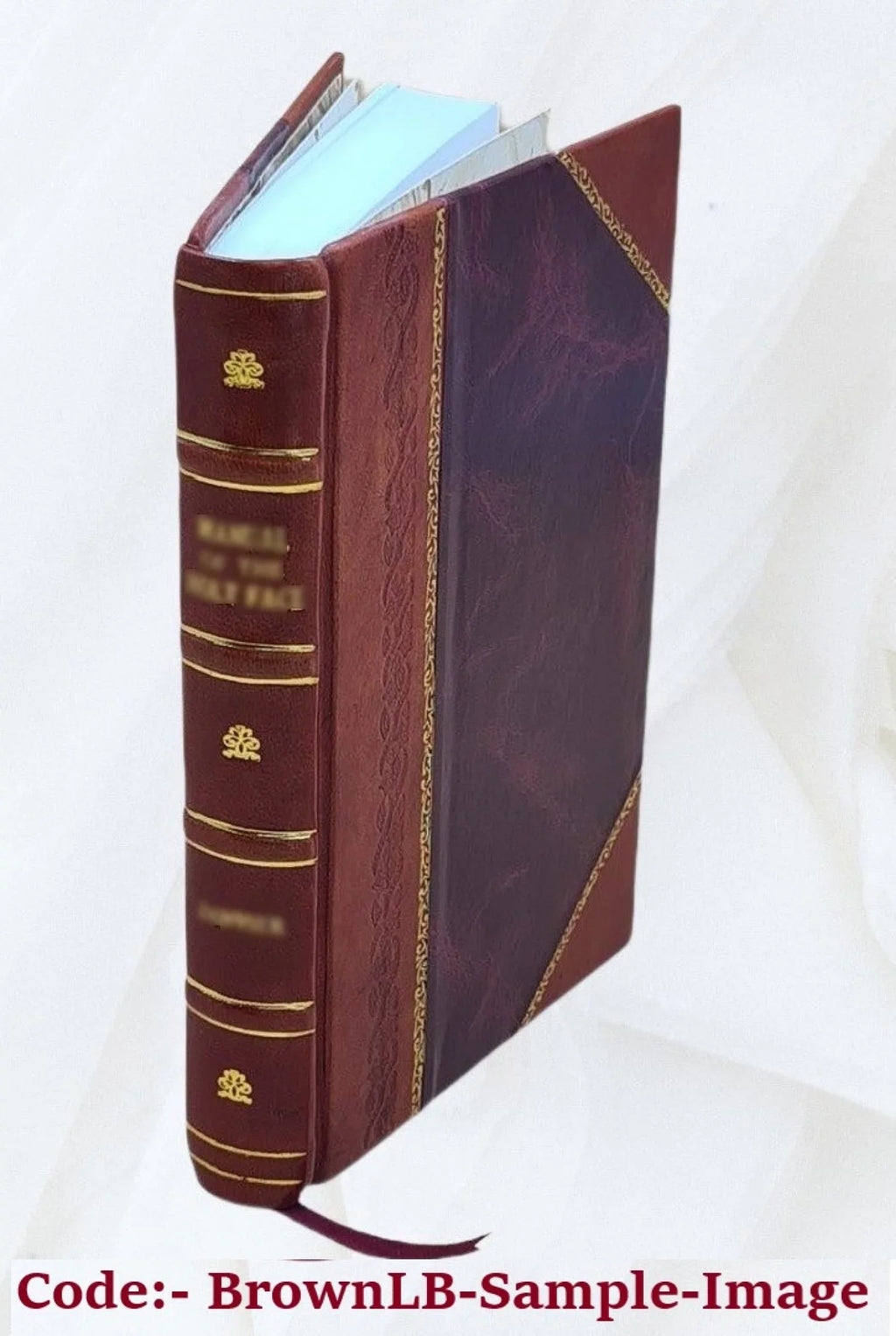 Landmarks of history : in three parts. Pt. 2. : Mediaeval history ; from the Mahomedan invasion to the Reformation / with alterations and amendments by Edith L. Chase. 1870 [Leather Bound]
