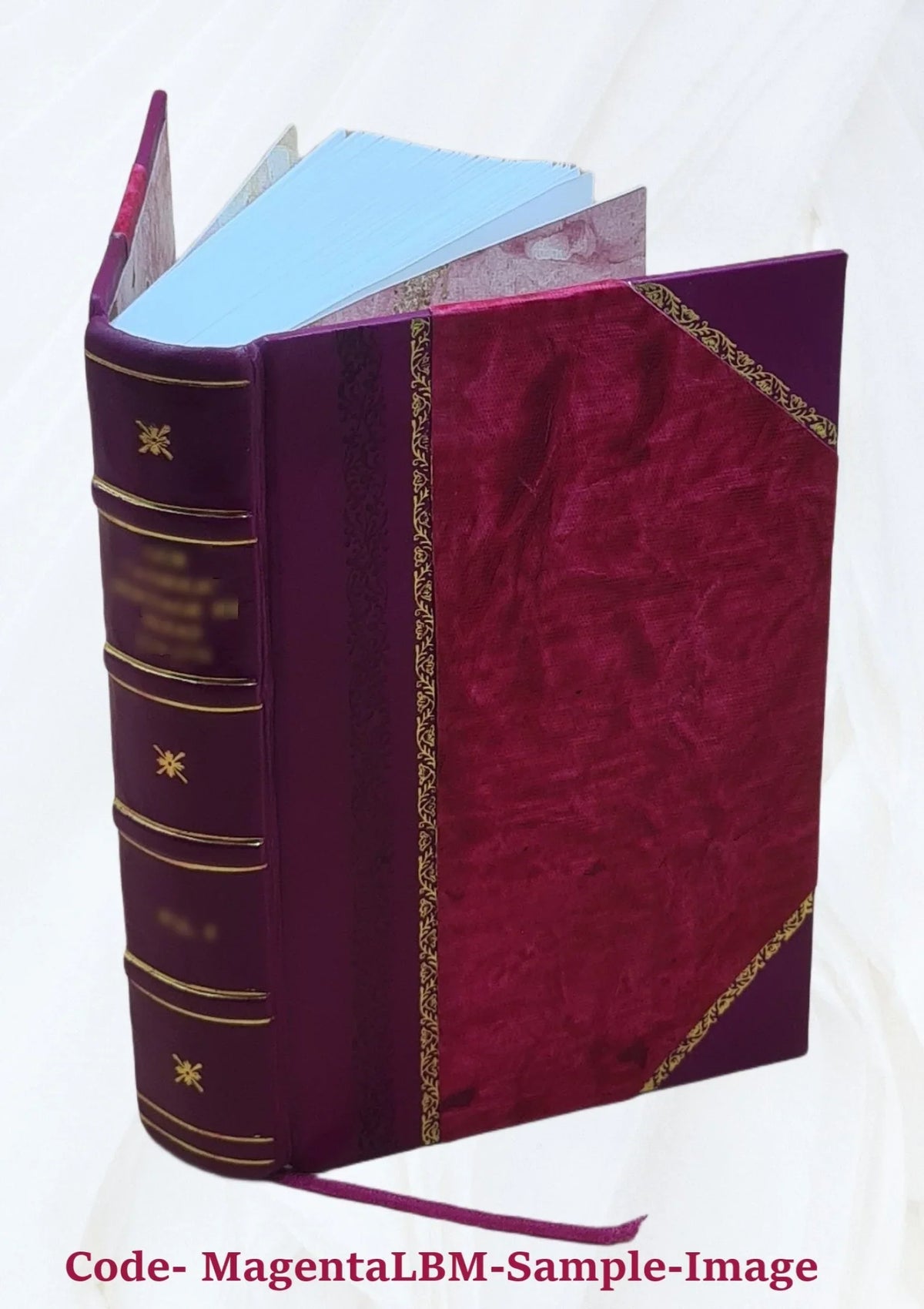 Report of the Committee on Charles River dam appointed under resolves of 1901 chapter 105 to consider the advisability and feasibility of building a dam across the Charles River at or near Craigie bri