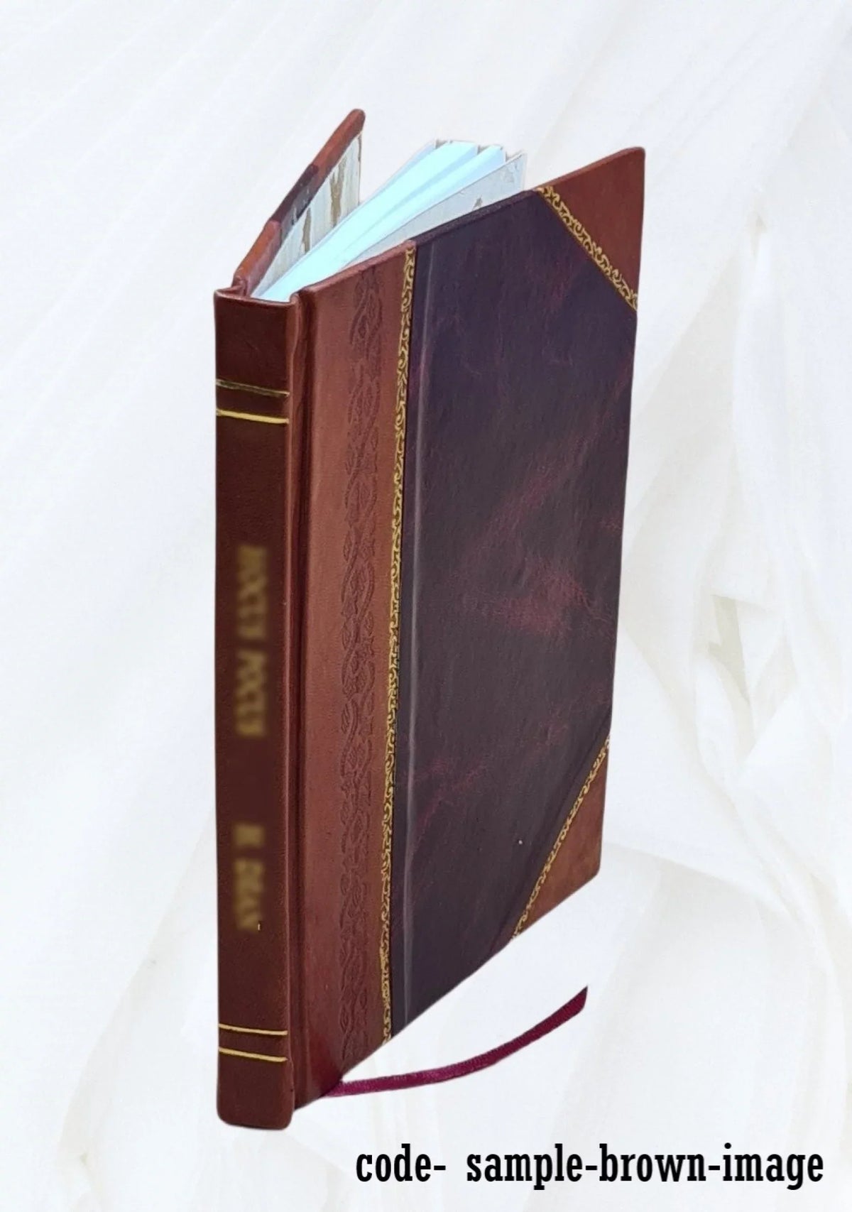 Omega table : area 24, Weddell Sea, pair D-E (North Dakota, U.S.A.--Reunion). 1977 [Leather Bound]
